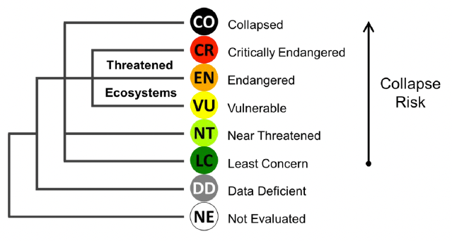 IUCN RLE categories